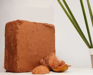 5 kg block
