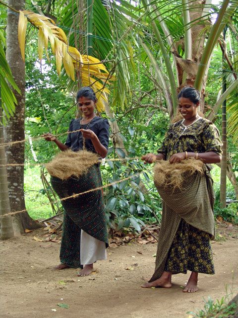 Agriculture