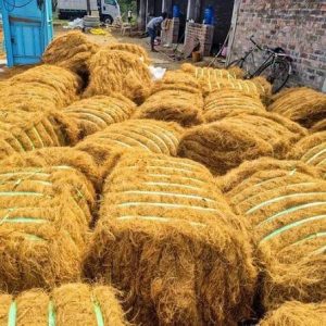 Coir Fibers
